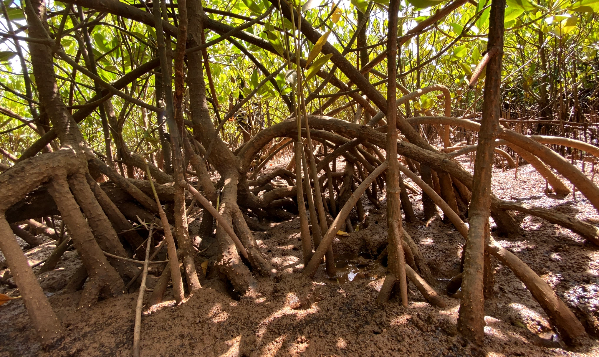 Earth impact at Madagascar